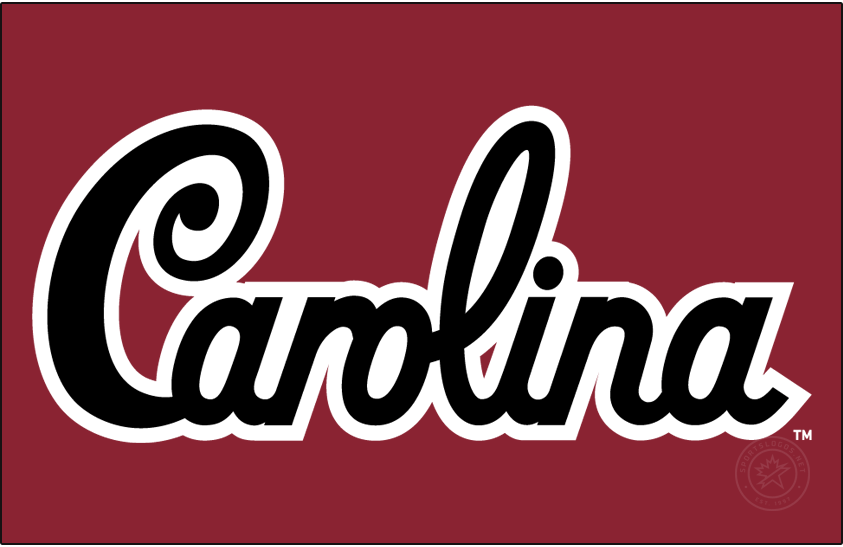 South Carolina Gamecocks 2018-Pres Wordmark Logo diy DTF decal sticker